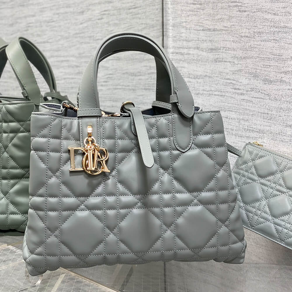 medium D*or toujours bag