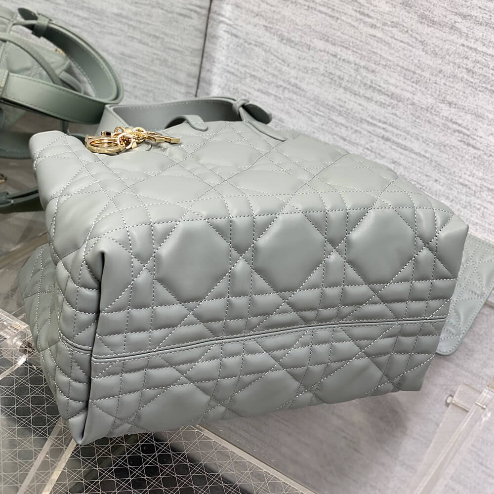 medium D*or toujours bag